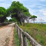 Great Apartment With Stunning Terrace In Bibione